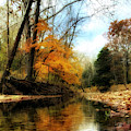 Autumn Creek
