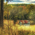 Ozarks Autumn